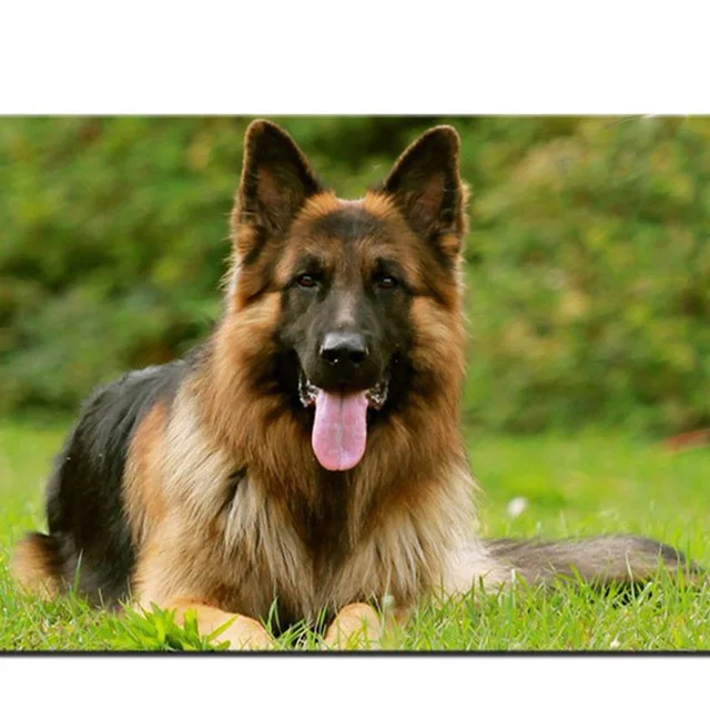 5D-DIY-Diamond-Embroidery-Animal-German-Shepherd-Dog-Pet-customization-Diamond-Painting-Cross-Stitch-3D-Diamond.jpg_640x640