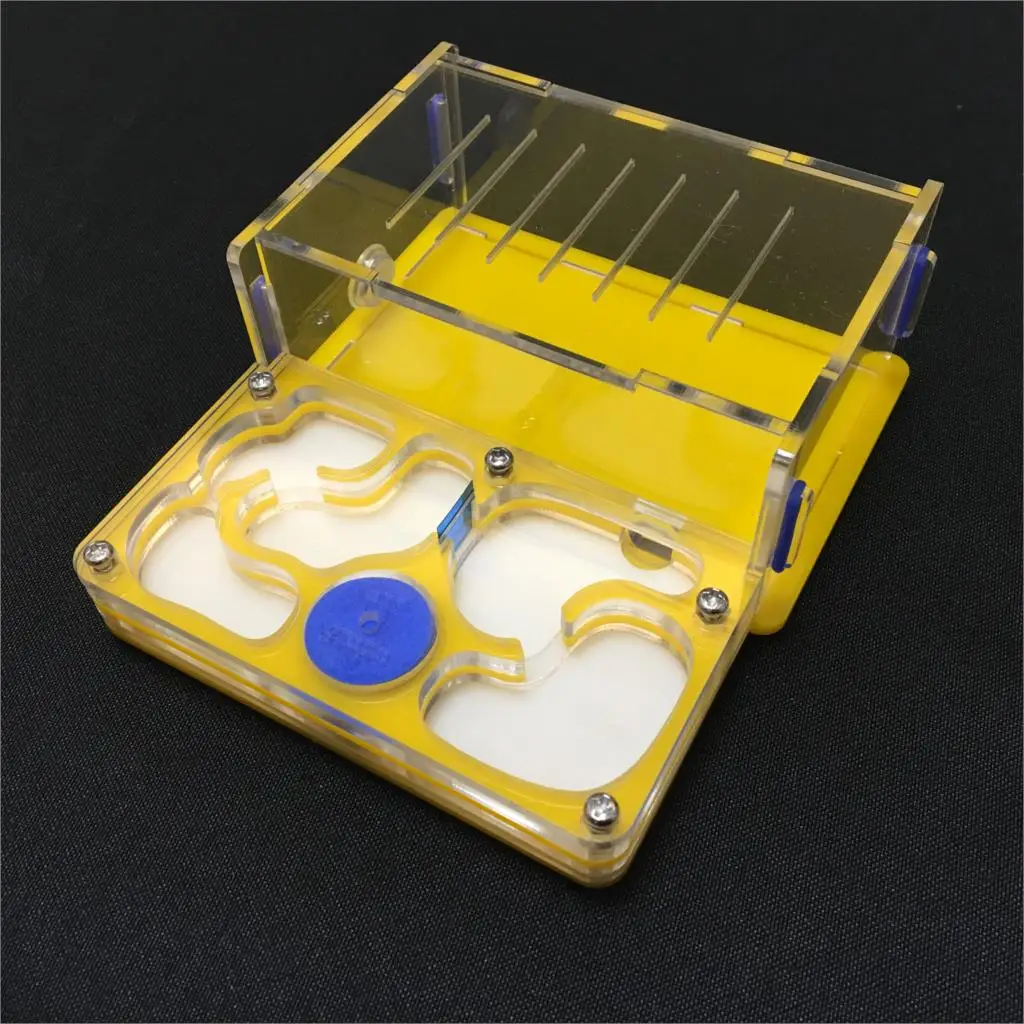 ant-grape M plane moisture with feeding area ant nest,ant farm acrylic,insect ant villa pet advanced mania for house ants