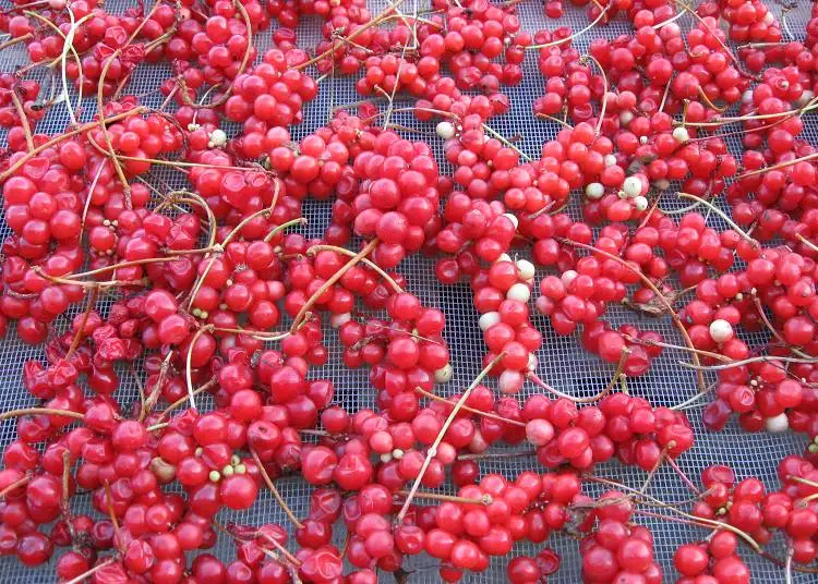 50 г, 500 г, органический сушеный чай Schisandra Chinensis Wu Wei Zi с пятью вкусовыми ягодными травами, травяной чай wuweizi, хороший для здоровья