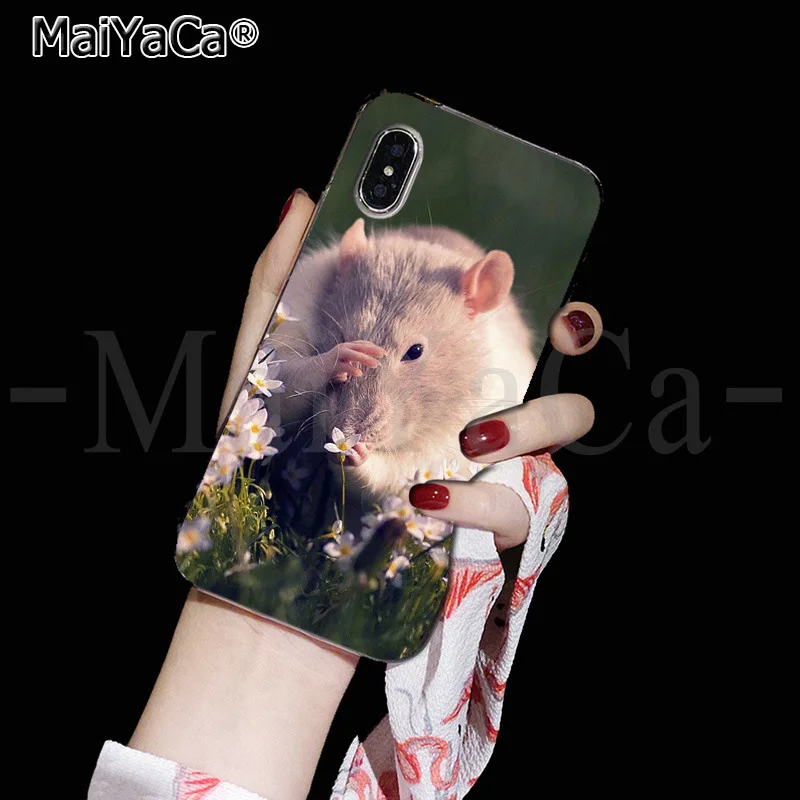 MaiYaCa милые животные крысы едят еду прекрасные аксессуары для телефона чехол Apple