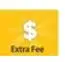 

extra fee