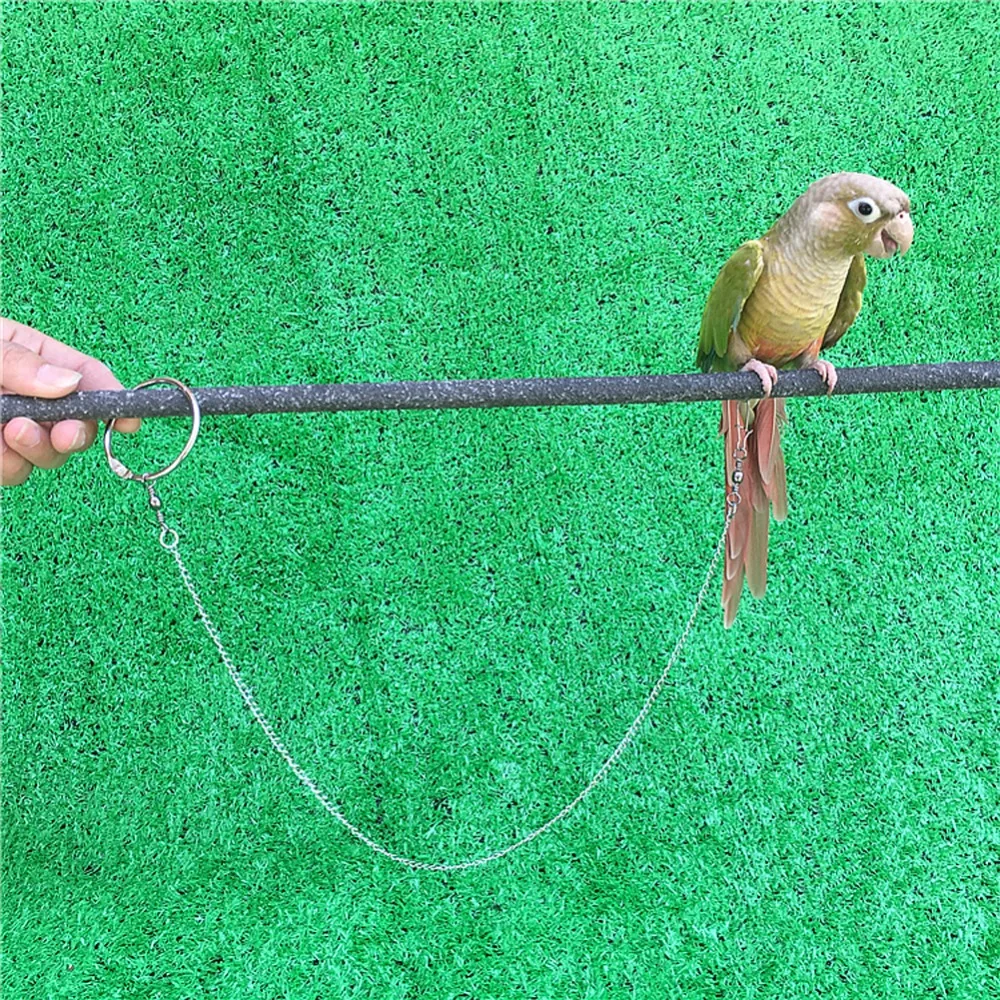 Птица Обучение Летающий цепочка на лодыжку нержавеющая сталь открытый Летающий обучение попугай ног кольцо ПЭТ птица наборы поводков птица инструменты 1 шт