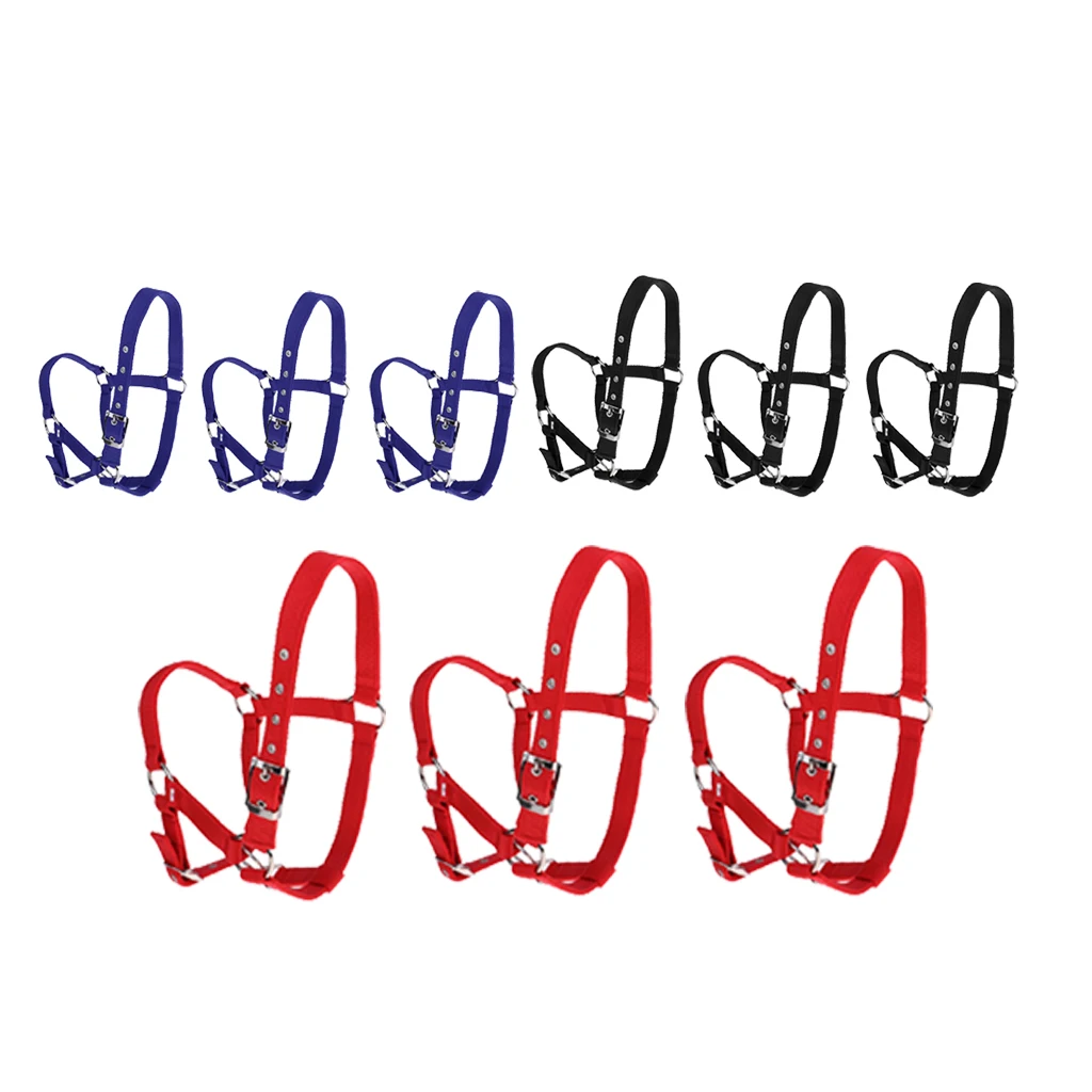 Strong and Durable Adjustable Webbing Equestrian Horse Halter Horse Riding Wear Adjustable Equestrian Horse Halter 
