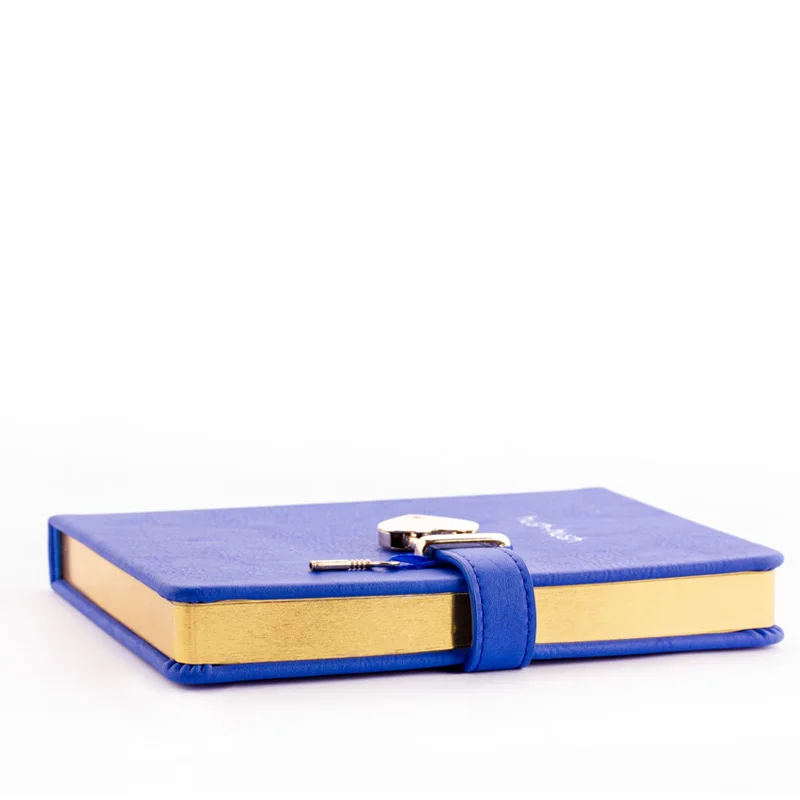 Cheap secret journal