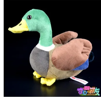 aaaaa