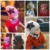 Зима Весна Детская Шапка Шарф Комплект Хлопок Baby Boy Girl Hat Cap Star Print Kids Детские Шапки Новорожденный Капот Шапочка Мальчики Шапки