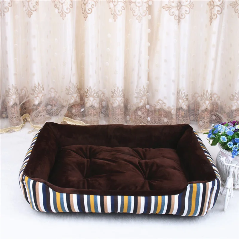 dog bed