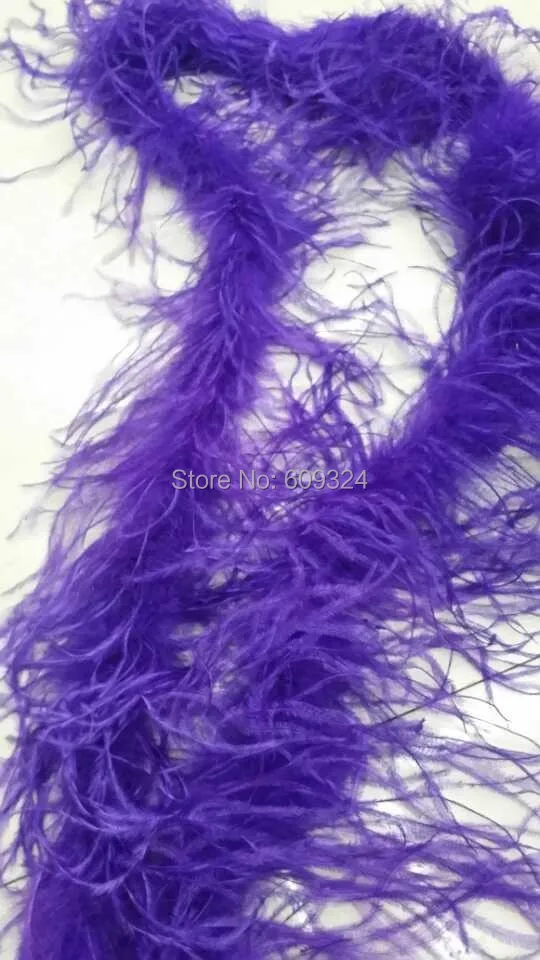 purple (2).jpg