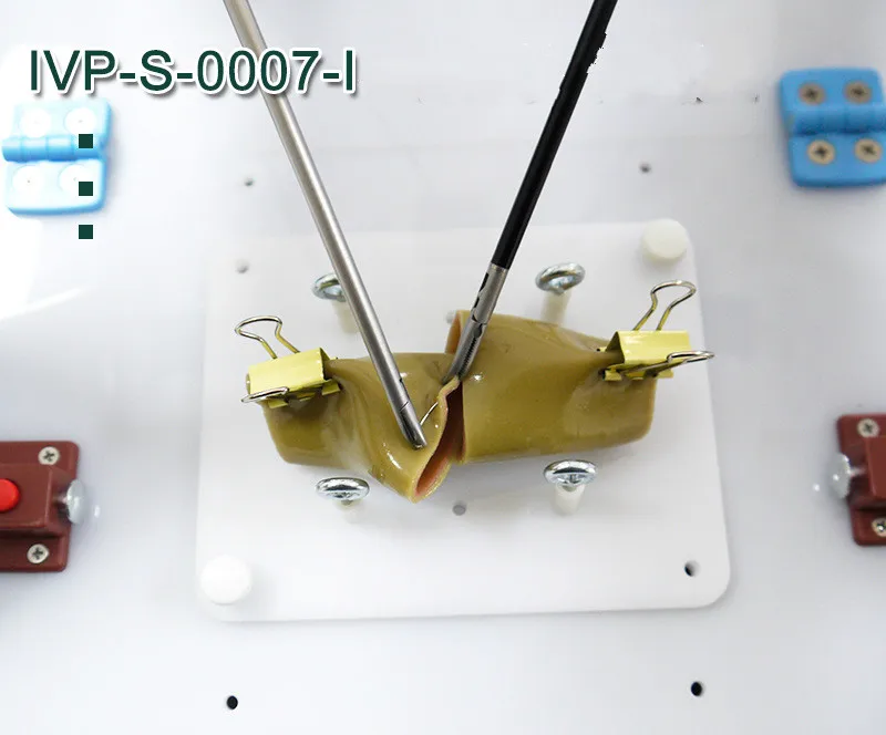 Тренировочная модель для шовного шва для кишки, кронштейн с клипсой для лапароскопической хирургии, тренировочная медицинская Практическая помощь