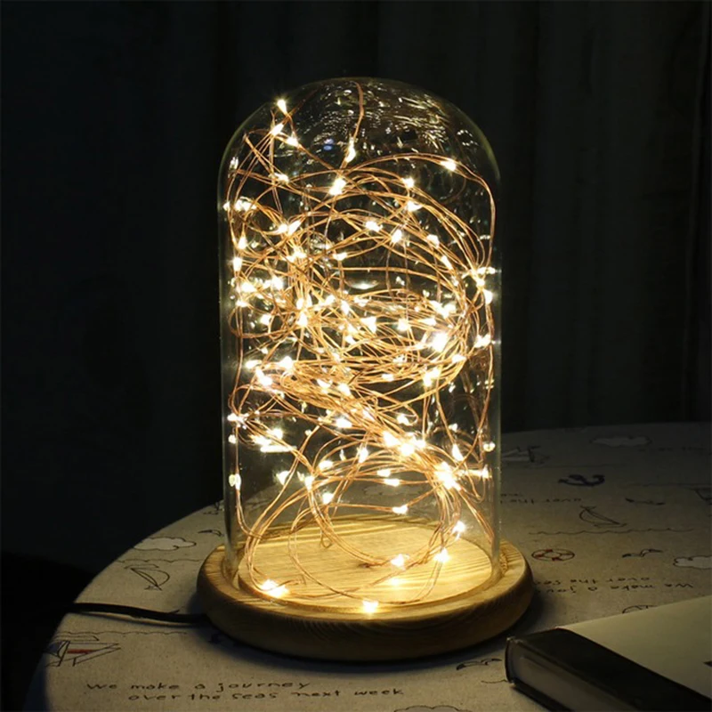 2M 20Led string warm white (16)