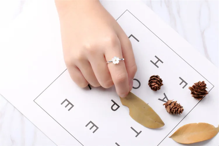 7984895833_1646359543