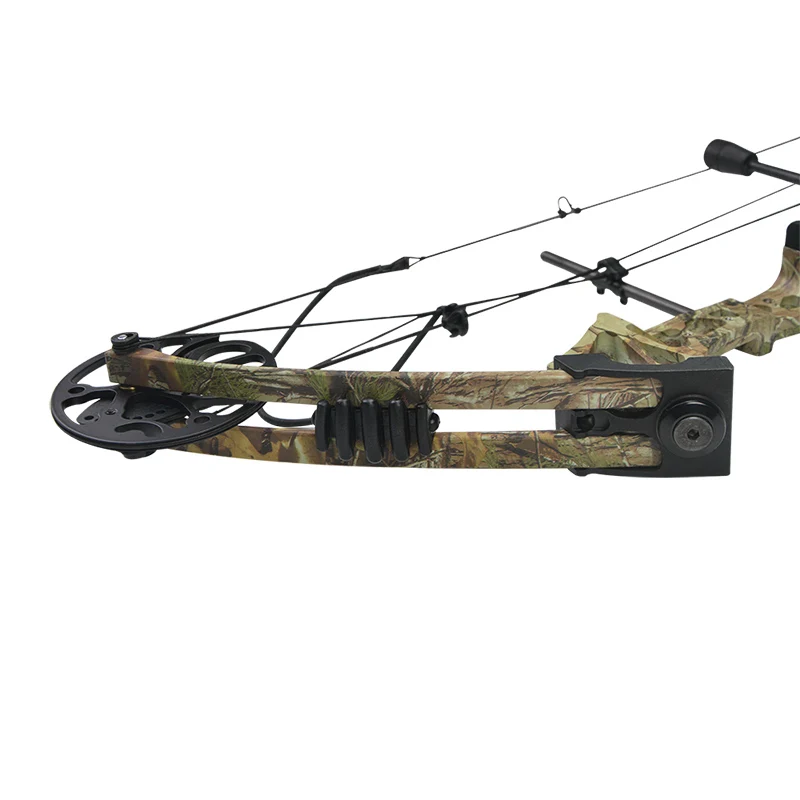 US $224.98 1set 7015lbs Archery Compound Bow Camo Arrows Hunting Shooting Target Adjustable Accessory