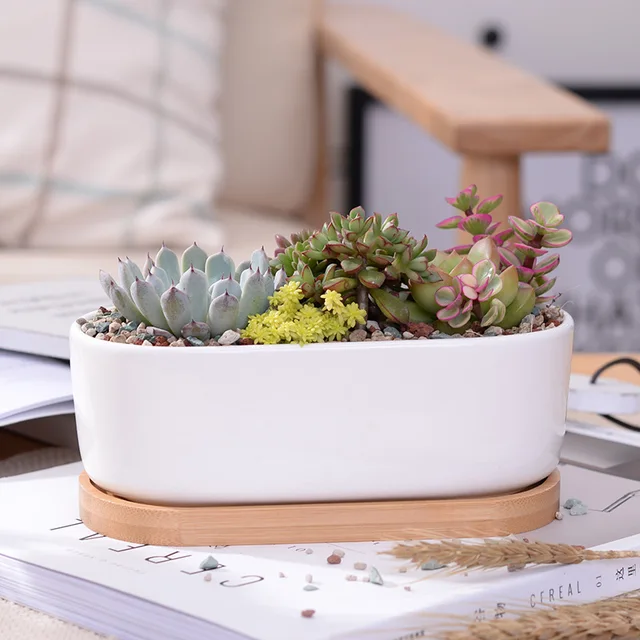 1 Set Minimalist White Ceramic Succulent Plant Pot Porcelain Planter Decorative Desktop Flower Pot Home Decor(1 Pot + 1 Tray)