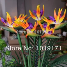 80 см х 3 шт искусственная кожа Strelitzia Reginae paradiis птица цветок Свадебный дом офисная мебель Декор 3 цвета F327