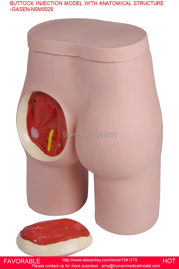 

BUTTOCKS INJECTION MODEL, BUTTOCKS INTRAMUSCULAR INJECTION TRAINING SIMULATOR,BUTTOCK INJECTION MANIKIN-GASEN-NSM0029