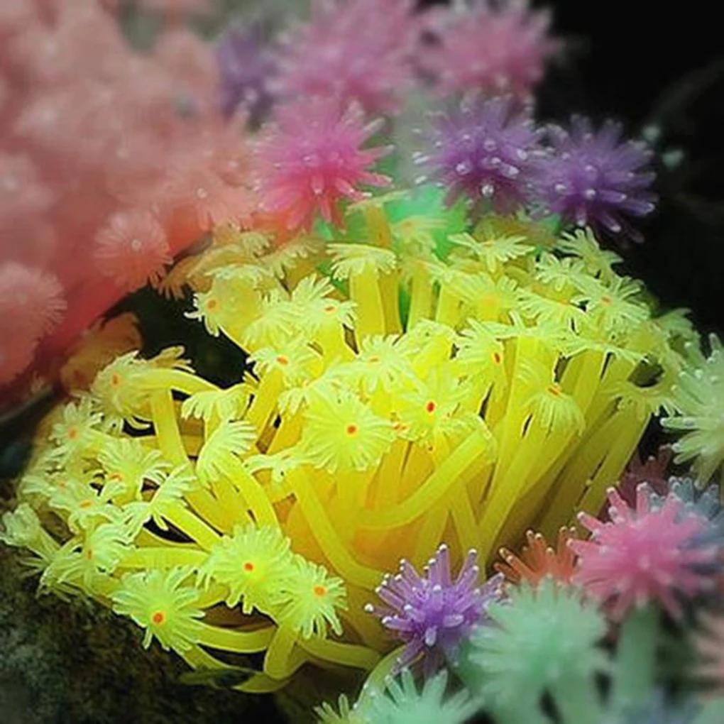 

Artificial Sea Anemone Imitated Coral Ornaments 15*10cm For Fish Tank Aquarium Decoration wholesales