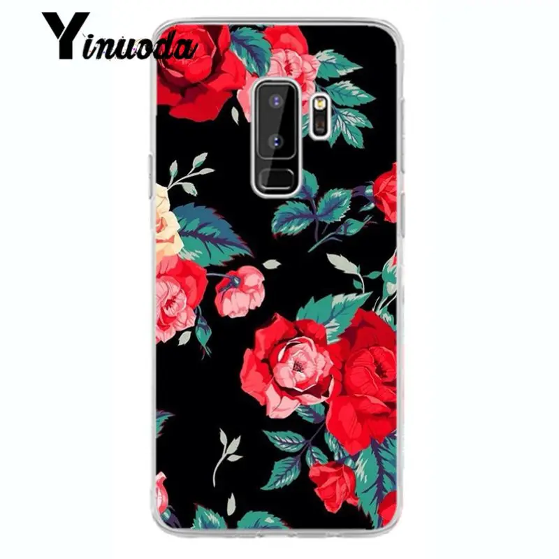 Flower Cherry Tree Candy Colors Leaves 