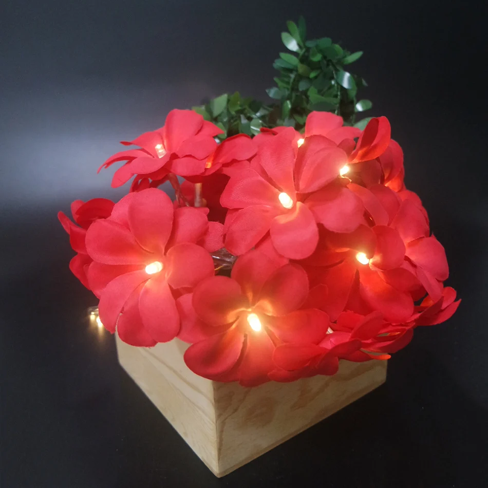 

Handmade frangipani LED String Lights 10leds 1.5M, Battery floral holiday lighting,Event Party garland decoration,Bedroom decor.