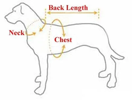 HTB1J6XcFVXXXXbnXFXXq6xXFXXXV