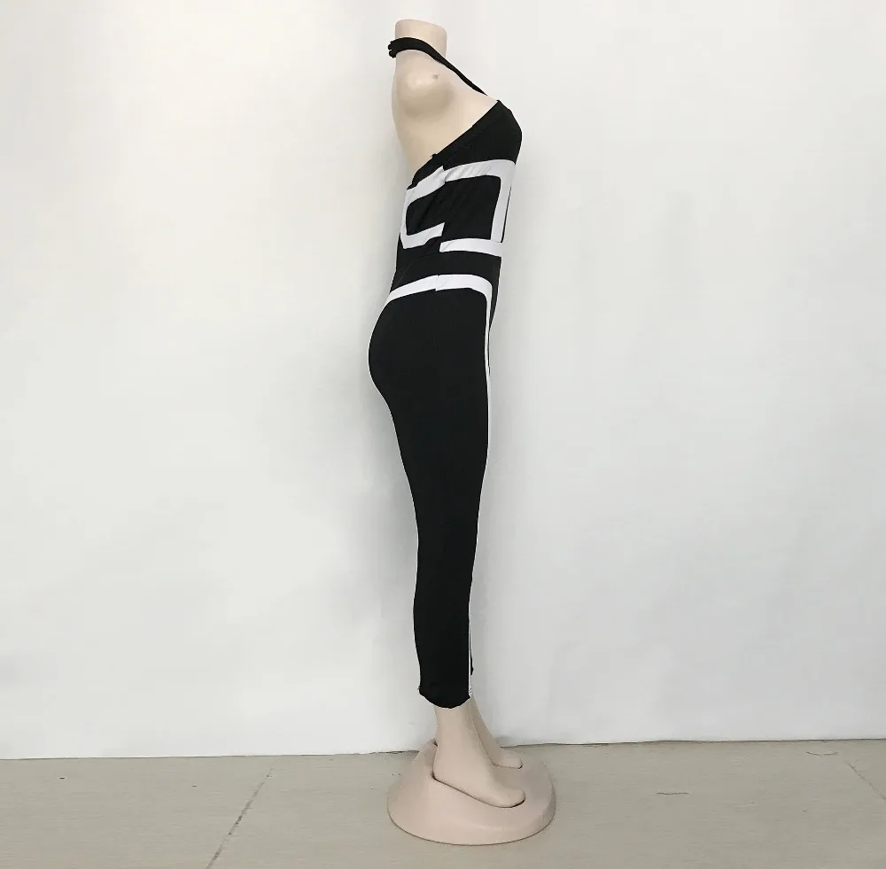 4678835212_1734078673
