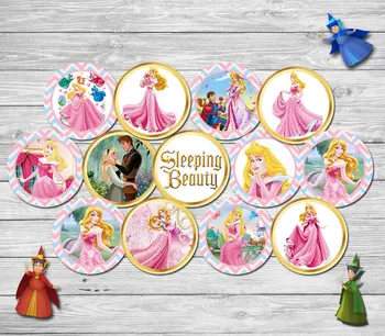 

Princess Aurora Package Party Sticker, Cupcake Toppers,Goodie Bag Topper Birthday Party Decorations kids for Birthday Candy tag