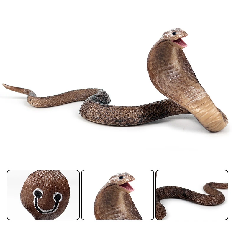 Simulation Reptile Model Cobra Snake Amphibious Spectacles Kingsnake Model Tidy Toy Ornaments
