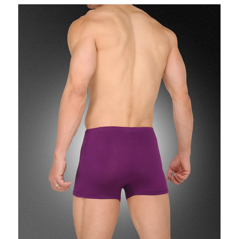 Solid Men Boxer Shorts Soft Men Underwear High Elastic Male Panties 6 Colors Brand Boxers Short Bamboo Fiber Men Clothing XL-5XL (4)