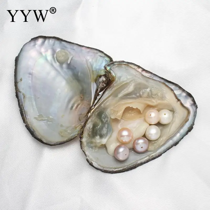 Vacuum Pack Freshwater Oyster Wish Pearls 8 9mm Pearl Inside Shell For Jewelry Diy Earring Beads Mysterious Gift Freshwater Oyster Beads Shellshell Diy Aliexpress