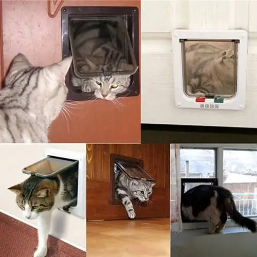 Двери Для Кошек Фото