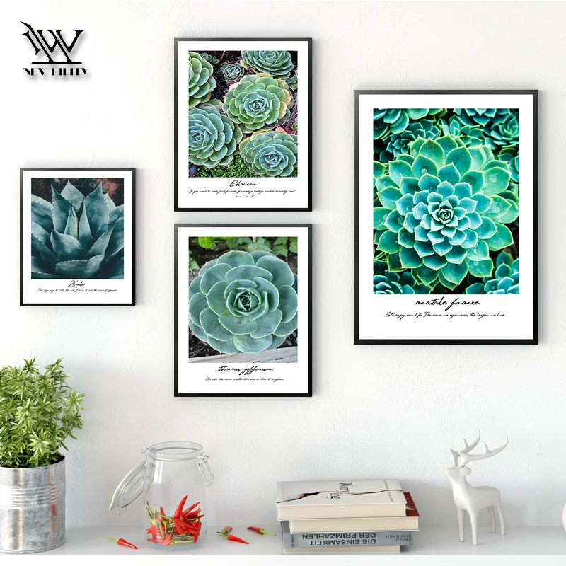 

NEWBILITY Modern Succulents Spring Decoration Nodic Vintage Cacti Pictures Cuadros Abstract Flower Paintings Living room Prints