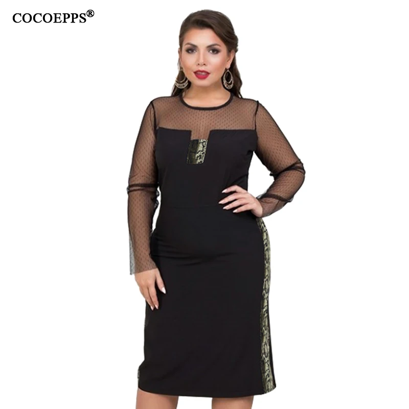 COCOEPPS  1