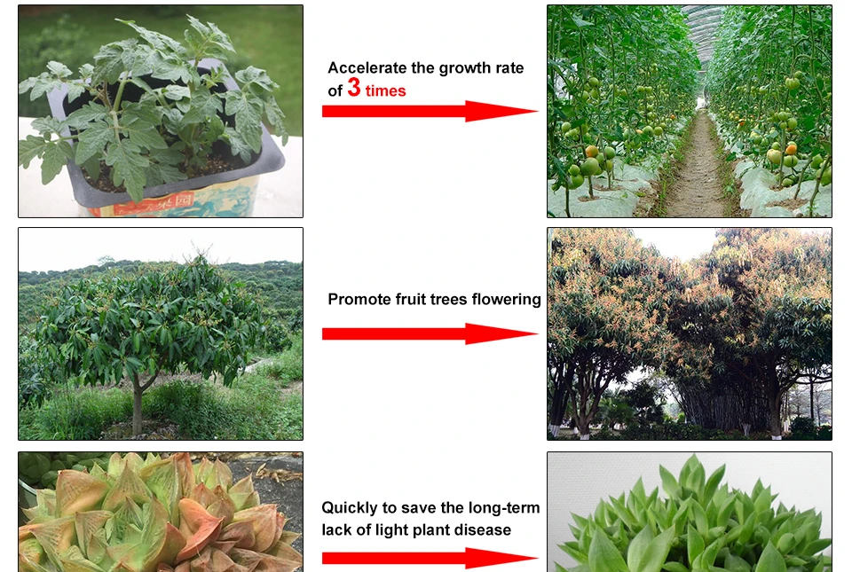 Фитсветодио дный о лампа светодиодная лампа для выращивания растений 220V 110V полный спектр 30 Вт 50 Вт светодио дный 70 Вт светодиодные лампы