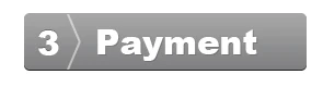 3.payment