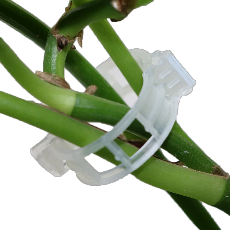 30pcs Plastic Garden Plant Flowers Tied Bundle Branch Clamp Clip Class Tools Flowers And Vegetables Vine Fixing Accessories