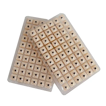 

Joylife 600Pcs/lot Acupuncture Needle Ear Vaccaria Seeds Relaxation Ear Press Auricular Massage Paste Stickers