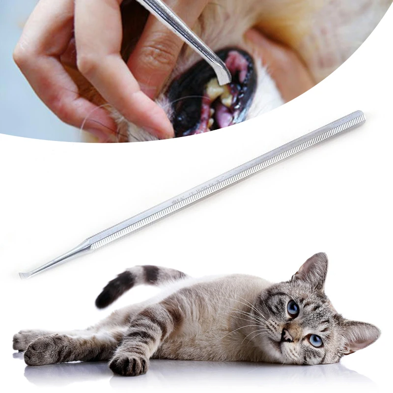 Buy Pet Dog Double Head Tartar Calculus Remover