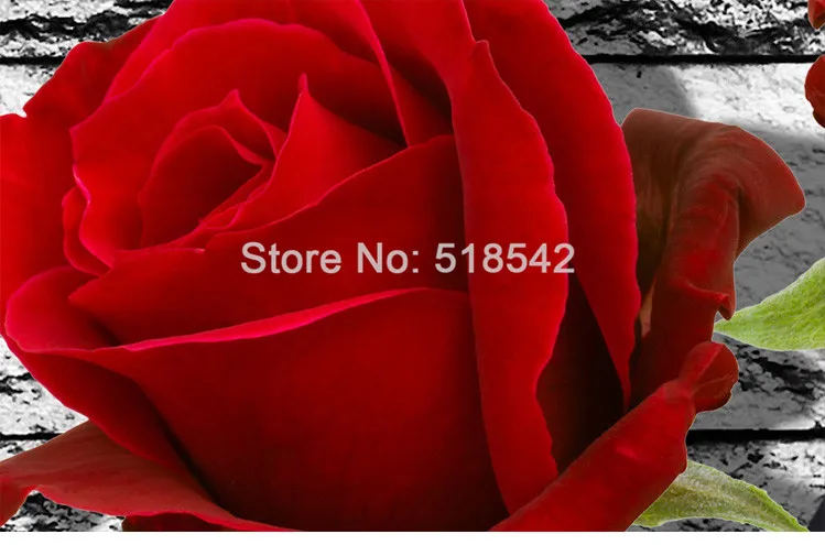 Пользовательские настенная фото 3D стереоскопического тиснением нетканого обои красная роза кирпичная стена документы Домашний Декор Гостиная Спальня