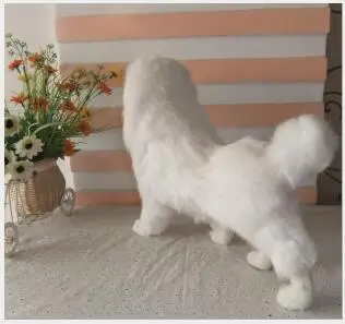  WYZHY simulation poodle birthday gift christmas gift interior decoration teaching home model decora - 32969021038