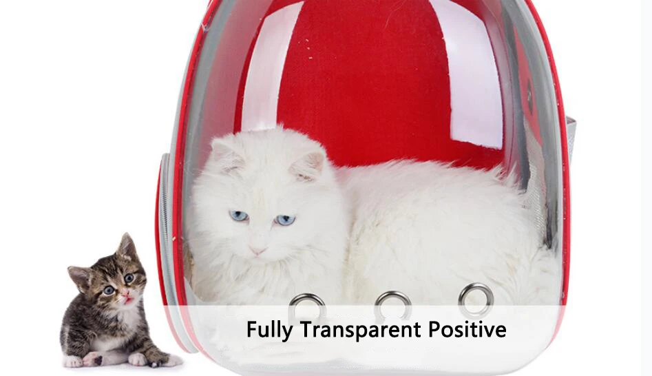 Переносная сумка для кошек Щенок Чихуахуа котенок капсула дышащая сумка путешествие, домашнее животное рюкзак прозрачный рюкзак для кошек