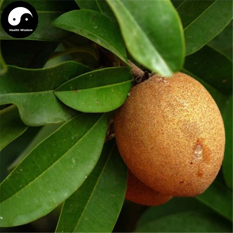 

Buy Rare Sapodilla Fruit Tree Semente 30pcs Plant Heart Fruit For Manilkara Zapota