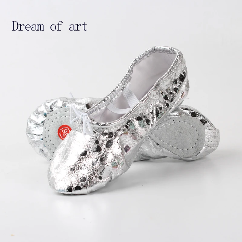 2016 New Gold Silver Ballet Shoes Women Practice Shoes Belly Dance