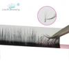 10 Trays Camellia Eyelash 3D-6D 0.03-0.07 Easy Fanning Natural Camellia Auto Fan Eyelashes Extension Golden Box High Quality 5