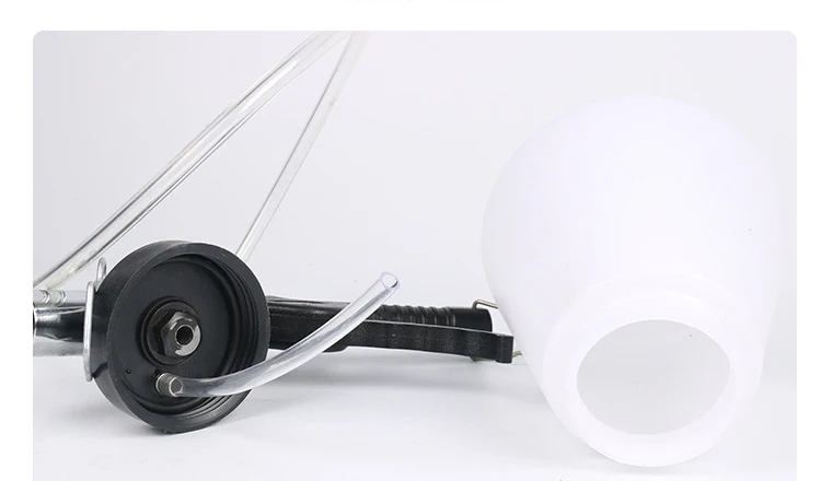 10242011695_42405587