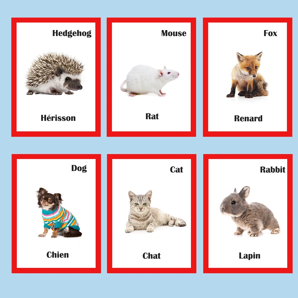 Educativos para Crianças Brinquedos para Crianças Francês Inglês Animais Aprendizagem Flashcards Cartão Jogos Juguetes Educativos 30pcs - 6 Computers & Electronics