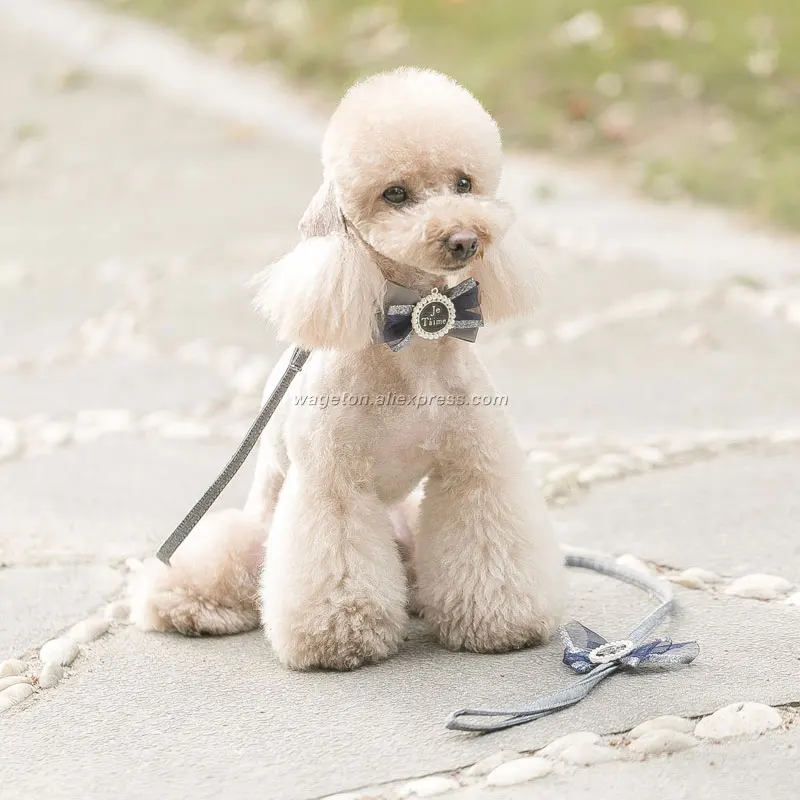 11 dog harness vest 