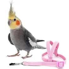 Venda quente anti-mordida voando treinamento corda papagaio pássaro pet trela kits ultralight arreios trela macio portátil para animais de estimação brinquedos
