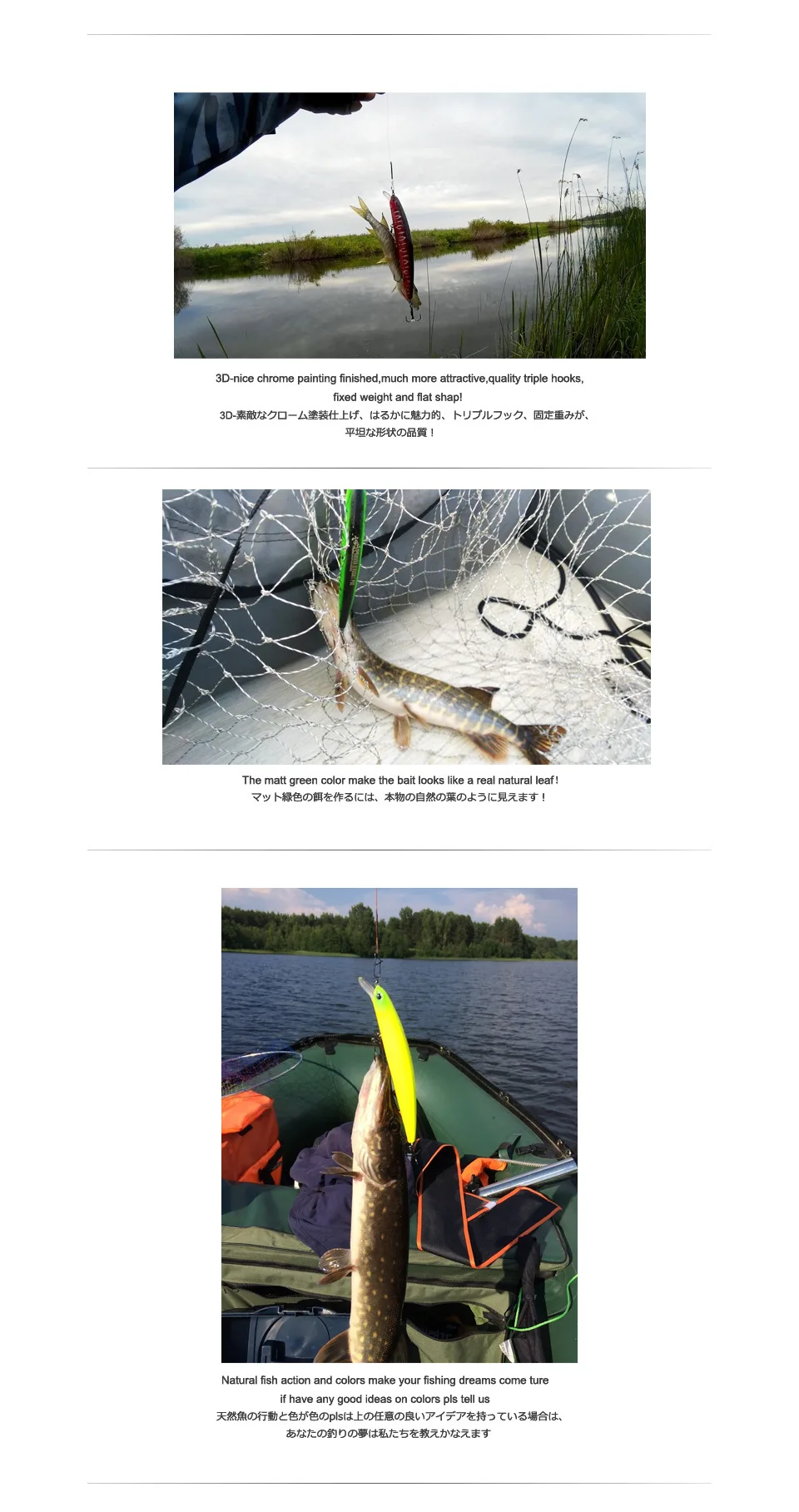 4462964998_1555068555