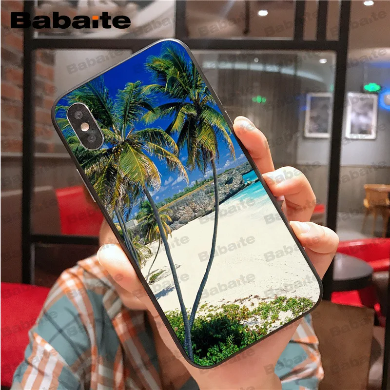 Beach Starfish Landscape