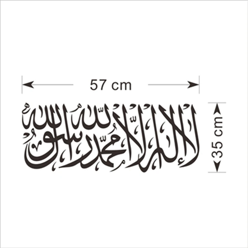 ZYVA-504-NA