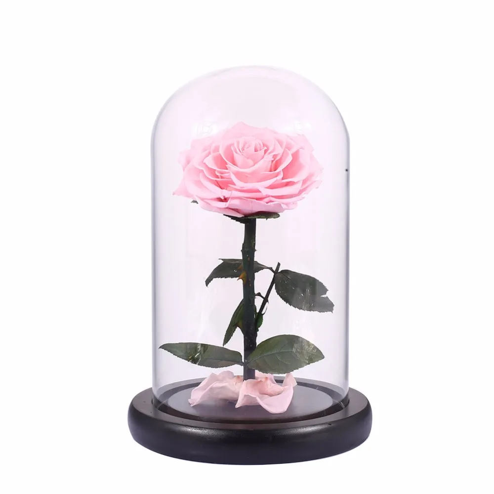 Romantic Glass Cover Preserved Rose Flowers Little Prince for Christmas Gifts Rose Wedding Decor Valentine'S Day New Year Gift For Lover Wife Eternal Rose Flower Family Home Decoration Romantic Glass Cover Preserved Rose Flowers Little Prince for Christmas Gifts Rose Wedding Decor Valentine'S Day New Year Gift For Lover Wife Eternal Rose Flower Family Home Decoration